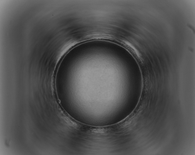 X0000092281182200710041405