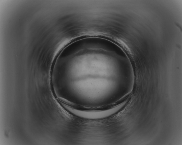 X0000092281183200710041405