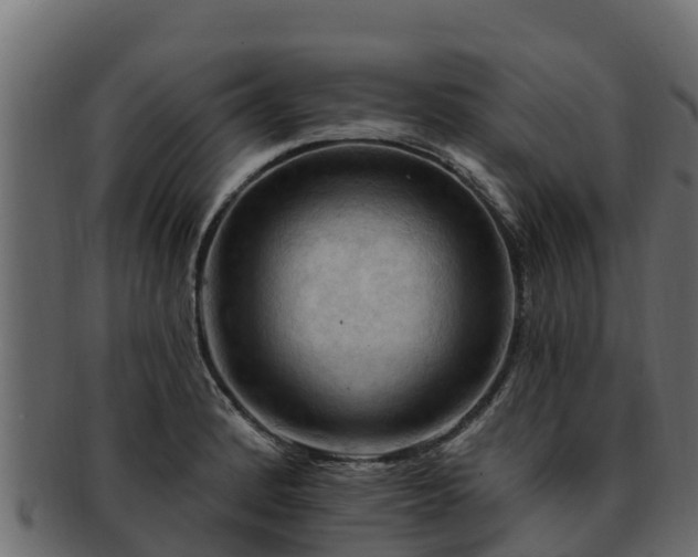 X0000092281184200710041405