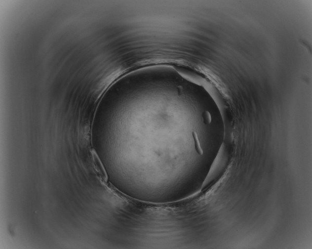 X0000092281185200710041405