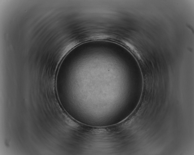 X0000092281186200710041405