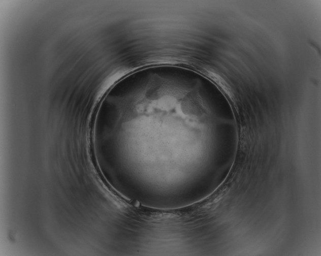 X0000092281187200710041405