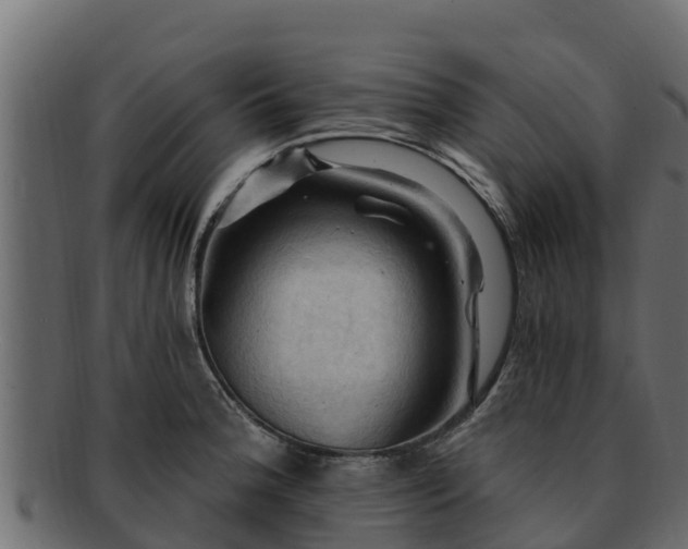 X0000092281188200710041405