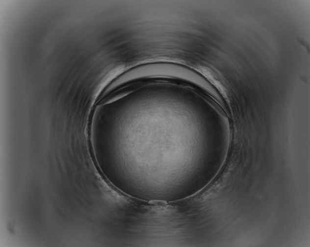 X0000092281189200710041405