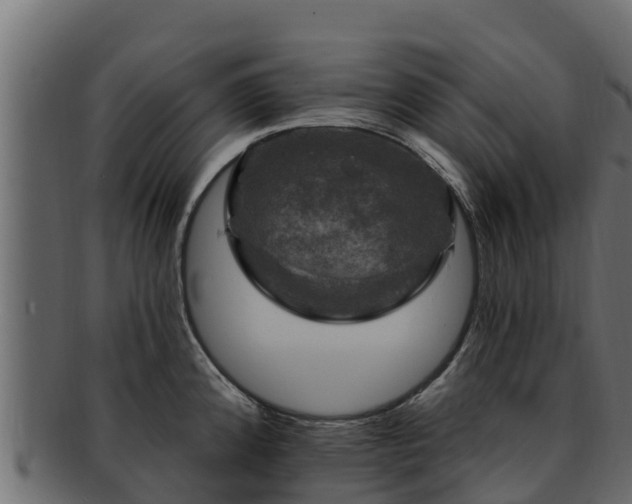 X0000092281192200710041405