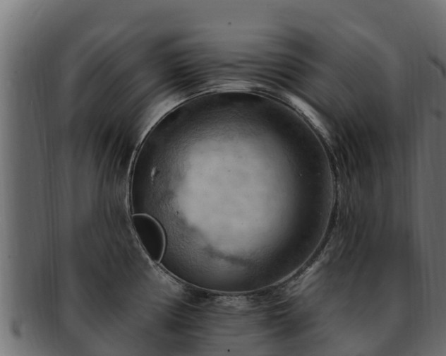 X0000092281194200710041405