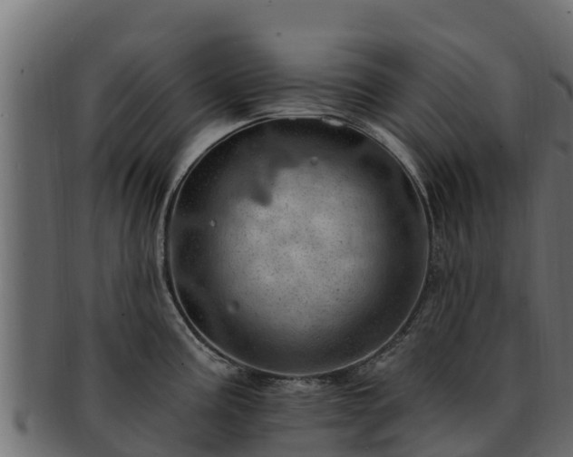 X0000092281195200710041405