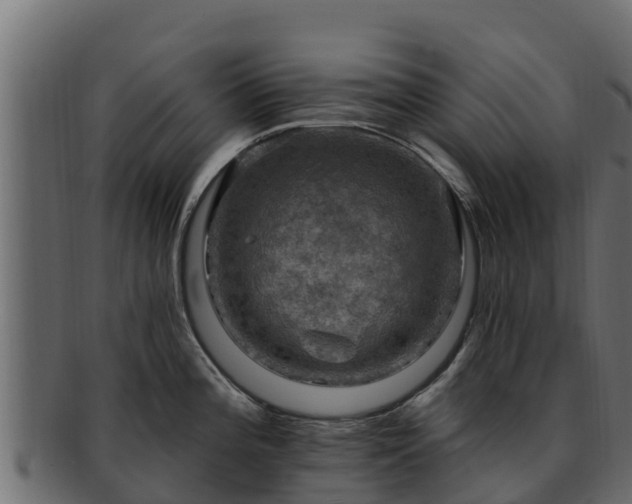 X0000092281196200710041405