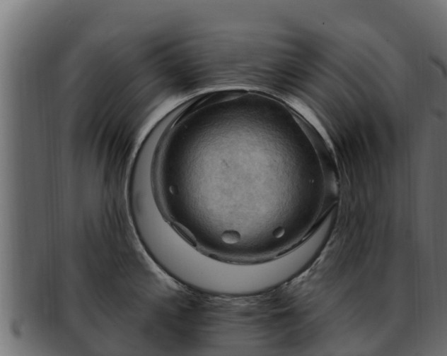 X0000092281197200710041405