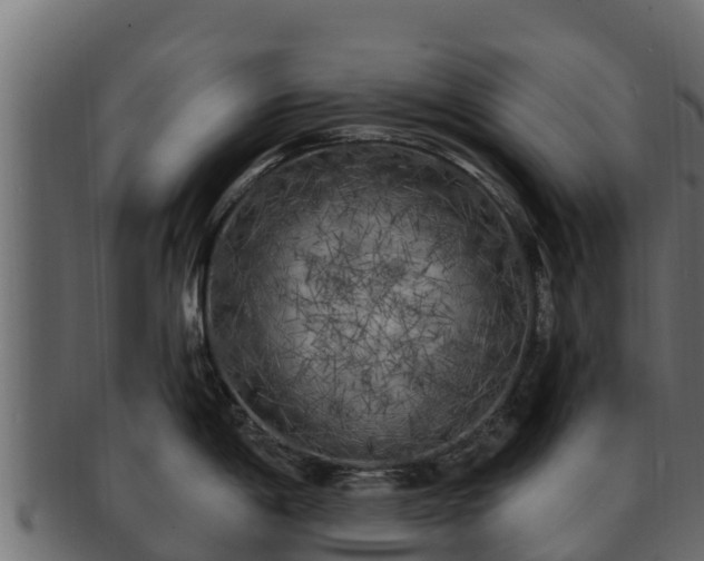 X0000092281198200710041405