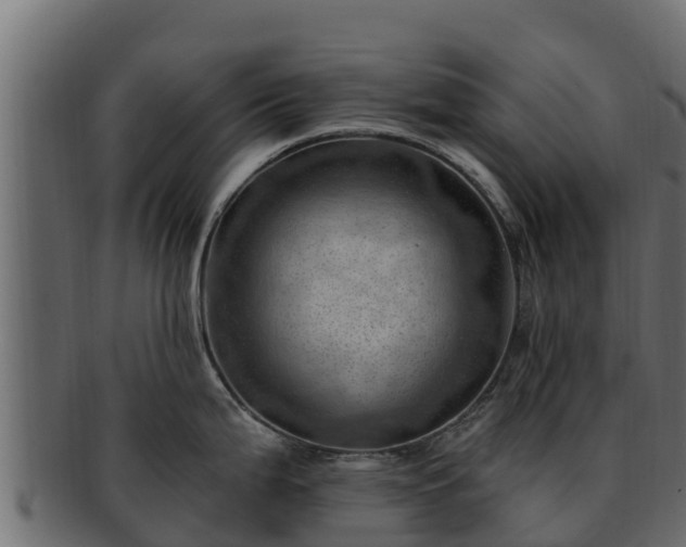 X0000092281199200710041405