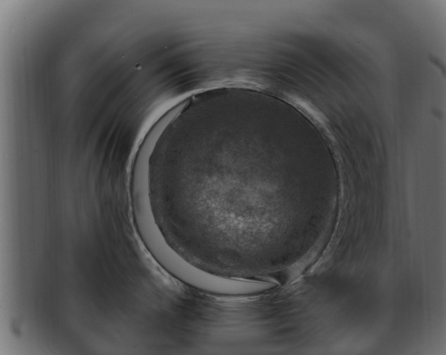 X0000092281200200710041405