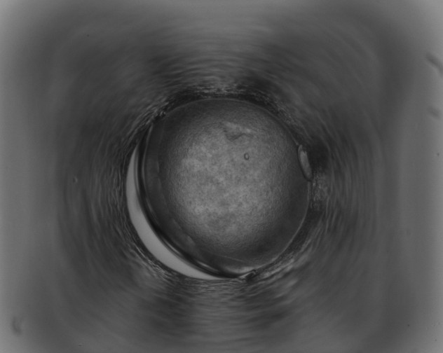 X0000092281202200710041404