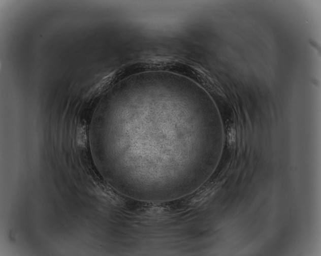 X0000092281204200710041404