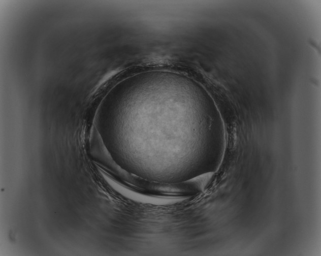 X0000092281206200710041404