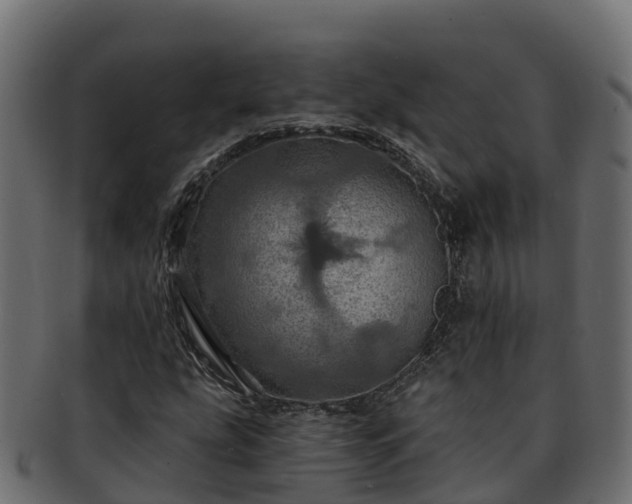 X0000092281207200710041404