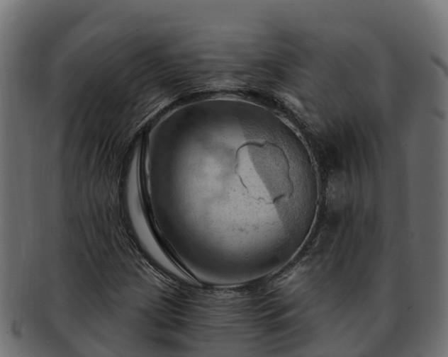 X0000092281209200710041404