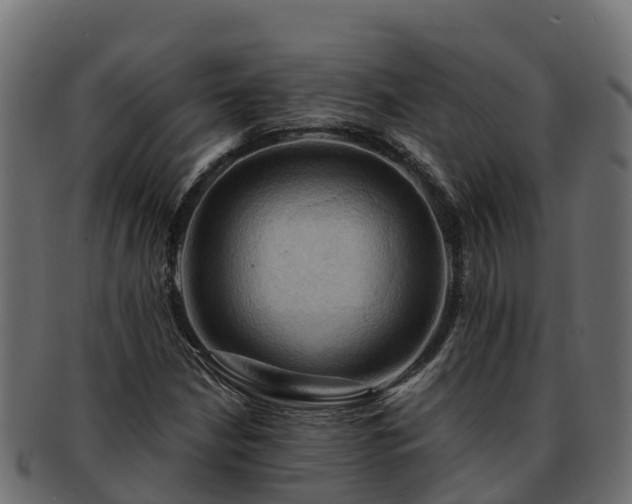 X0000092281210200710041404