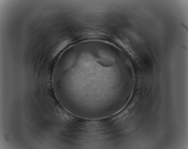 X0000092281211200710041404