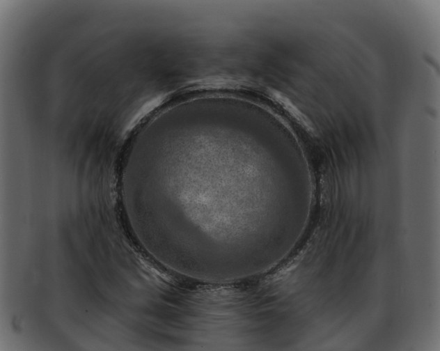 X0000092281213200710041404