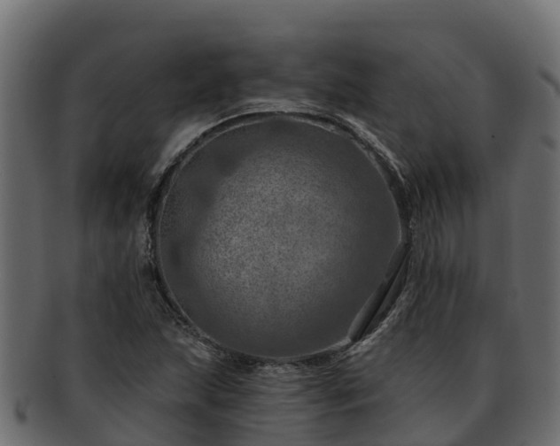 X0000092281215200710041404