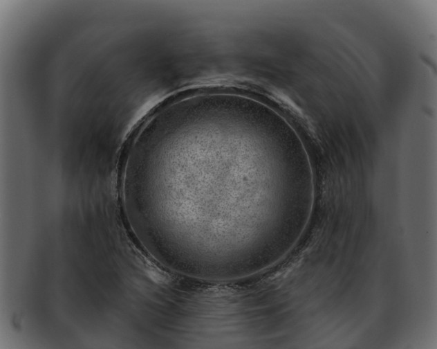 X0000092281216200710041405