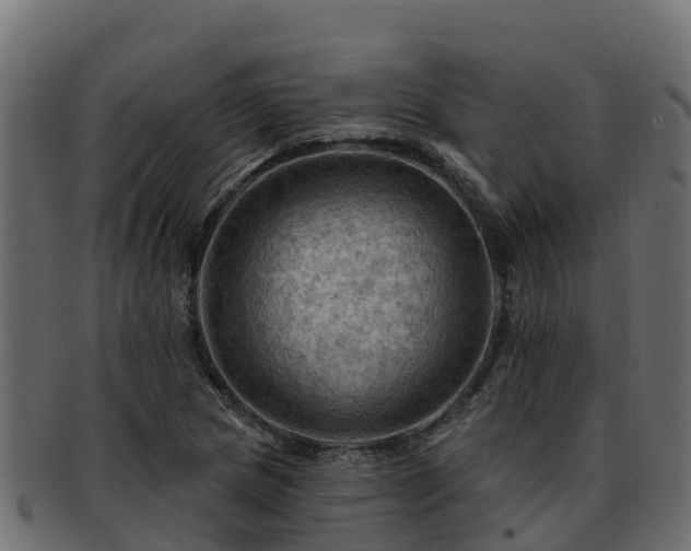 X0000092281217200710041405