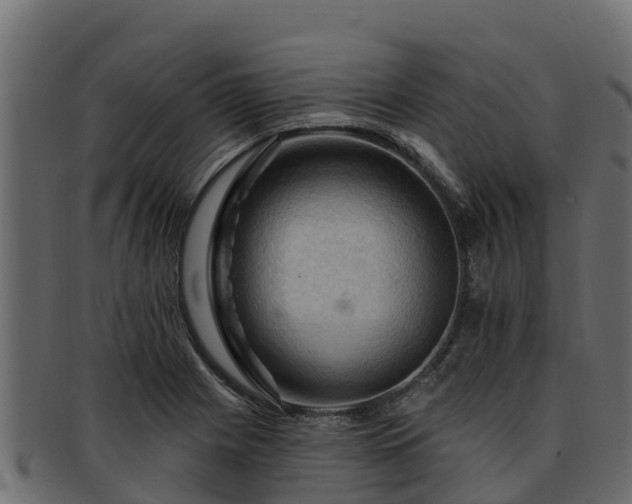 X0000092281225200710041405