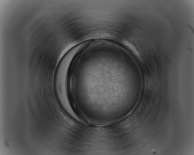 X0000092281226200710041405