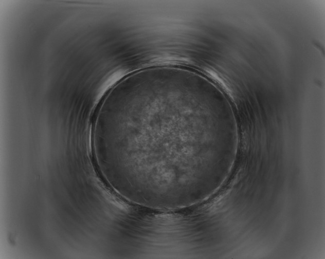 X0000092281227200710041405