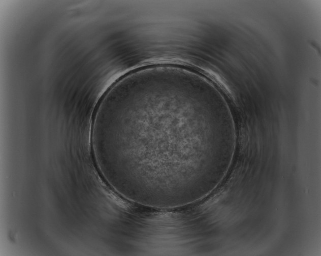 X0000092281228200710041405