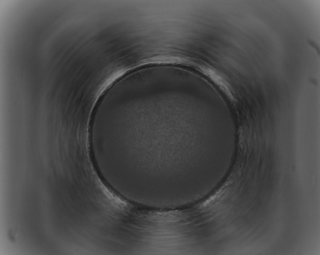 X0000092281229200710041405