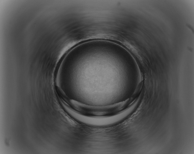 X0000092281230200710041405