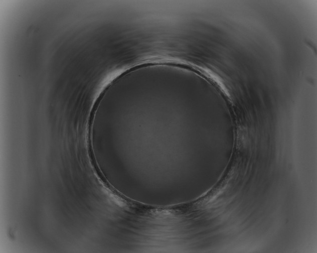 X0000092281231200710041405