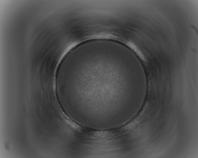 X0000092281232200710041405