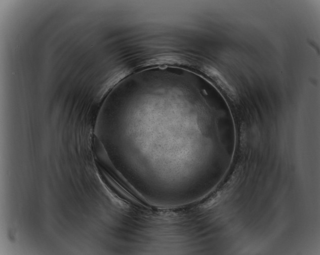 X0000092281233200710041405