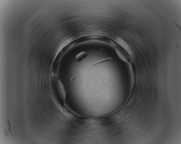 X0000092281234200710041405