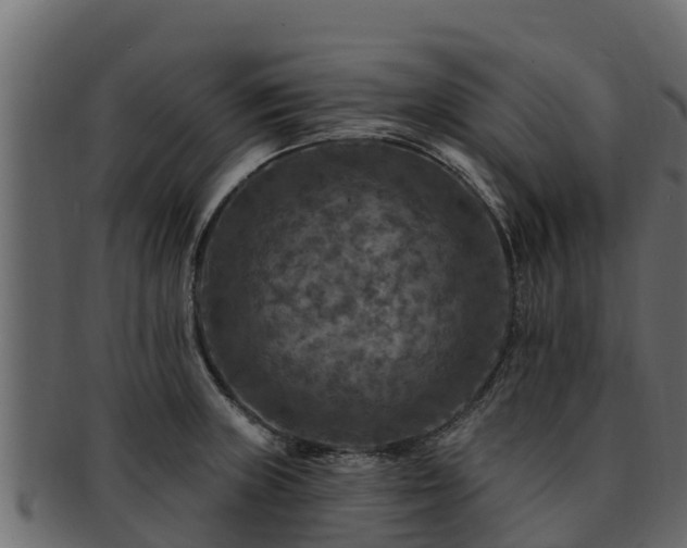 X0000092281235200710041405