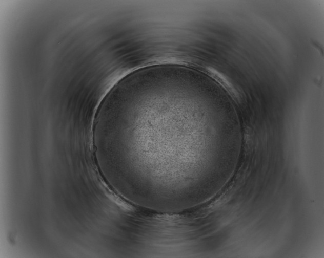 X0000092281236200710041405