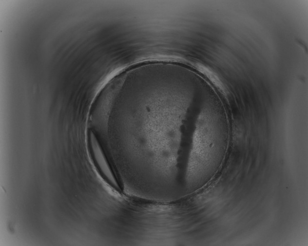 X0000092281237200710041405