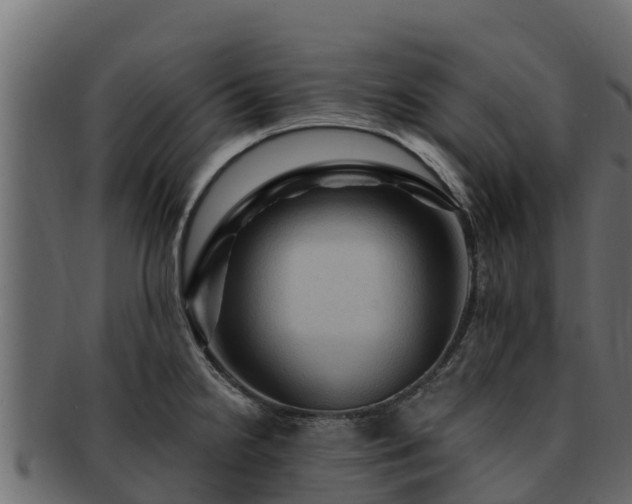 X0000092281238200710041405