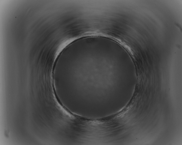 X0000092281239200710041405