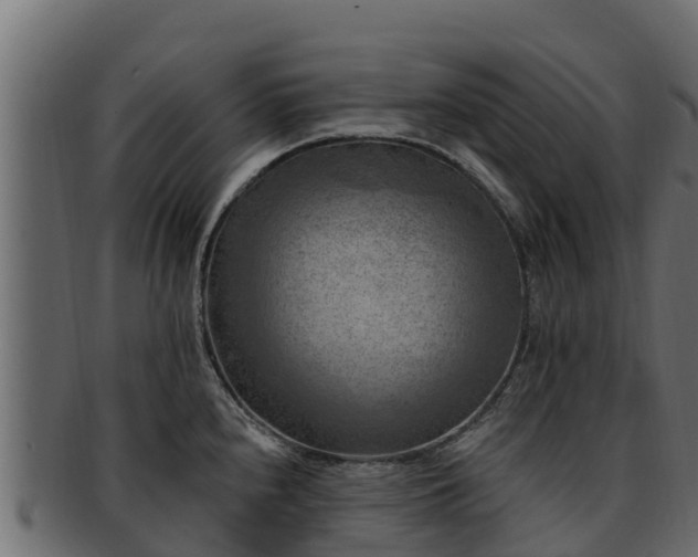 X0000092281240200710041405