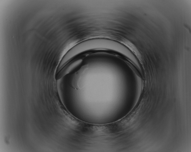 X0000092281242200710041405