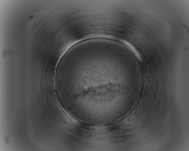 X0000092281244200710041405