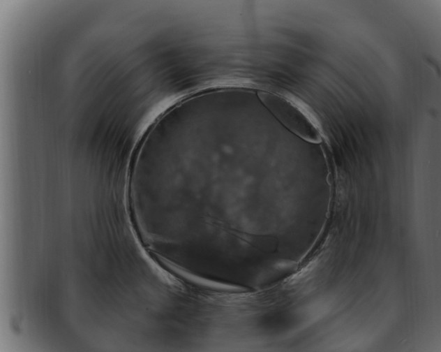 X0000092281245200710041405