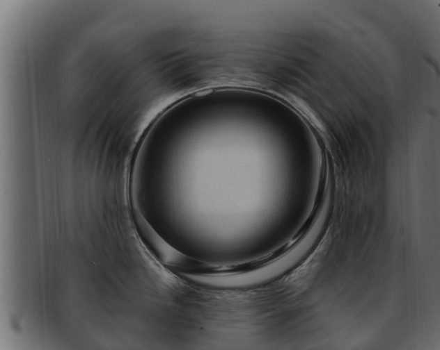 X0000092281246200710041405