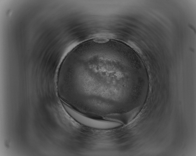 X0000092281248200710041405