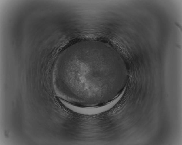 X0000092281249200710041404