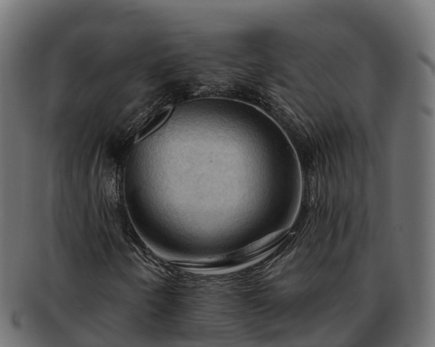 X0000092281250200710041404